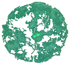 Blightflow Pan