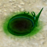 Dredge Master's Ring