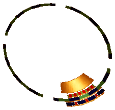 Pharaoh's Pan