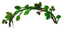 Ring of Thorns