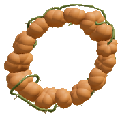 Ring of Harvest